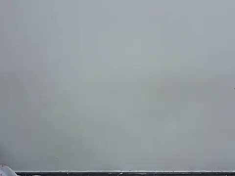 prettybeee's cam snapshot