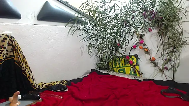 SweetJojo1993's cam snapshot