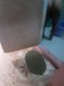 Rojatelugu89 live sex cam