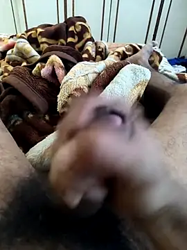 dildarlund live sex cam