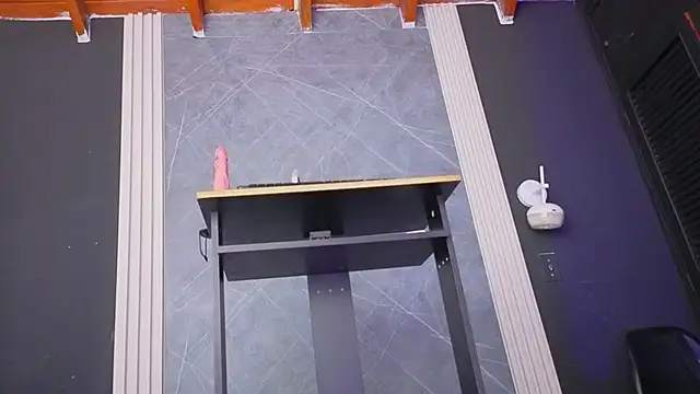 haileycat's cam snapshot