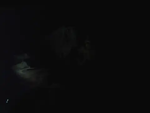 Carajito16's cam snapshot