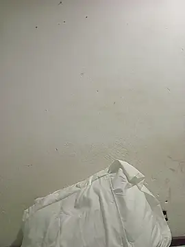 Kuromiunu's cam snapshot