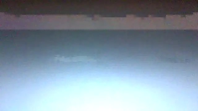 pancraziosocrate69 live sex cam