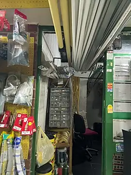 MADAME-ARLETTE live sex cam