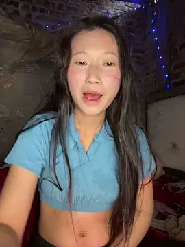 vero-obc's cam snapshot