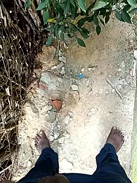 dolphiinn's cam snapshot