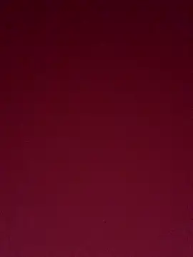 miwita's cam snapshot