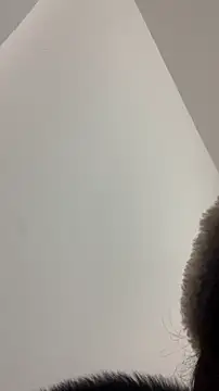 zhizhinaigai's cam snapshot