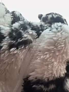 daaqnn's cam snapshot