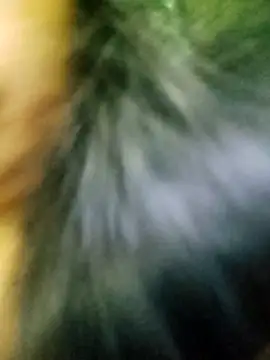 Sofia-ex's cam snapshot