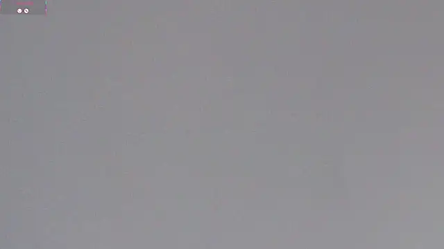 KeeleyBuoy live sex cam