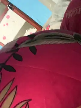 Hoa-tuylip's cam snapshot