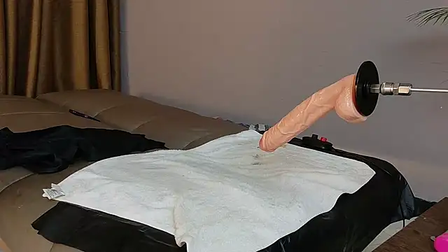 Breidyhard's cam snapshot