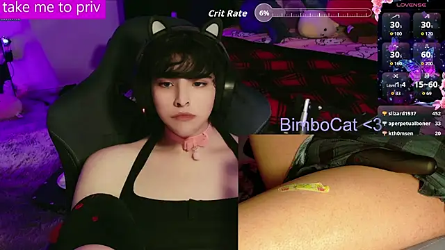 BimboCat live sex cam