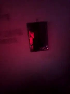 justmarkwolf1's cam snapshot