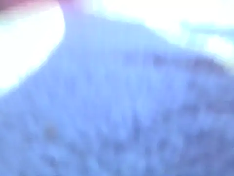 REESSY2's cam snapshot