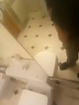 rush6983's cam snapshot