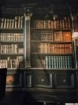 VenezuelaLuxeNoir's cam snapshot