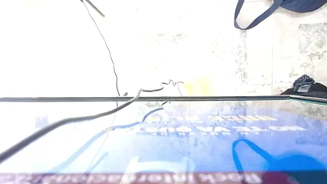 amara_leoncm's cam snapshot