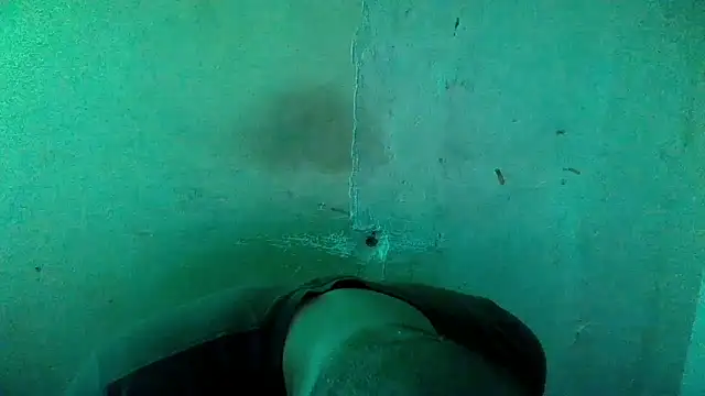 AlanDicksons live sex cam