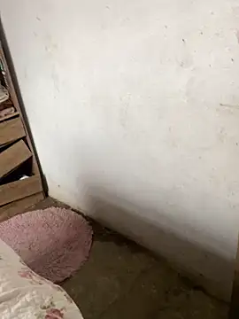 pretalst's cam snapshot