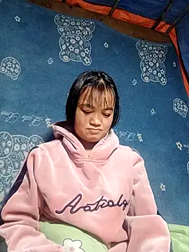 Noelle-e's cam snapshot