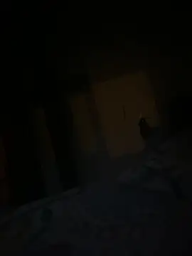 TurkishNudistMan live sex cam