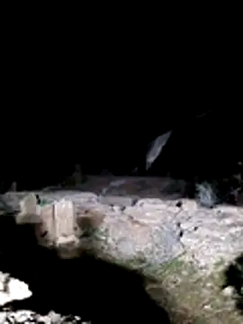 lit702's cam snapshot