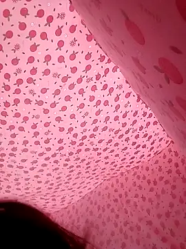 Menu_x's cam snapshot