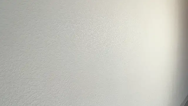 gangmodels's cam snapshot