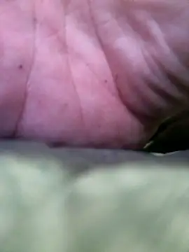 veronicatvcroosleather live sex cam