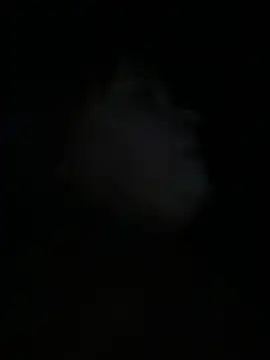 BigboobsDream99 live sex cam