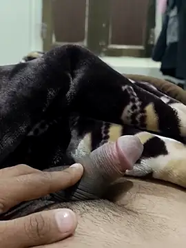 Rajasthan-24's cam snapshot