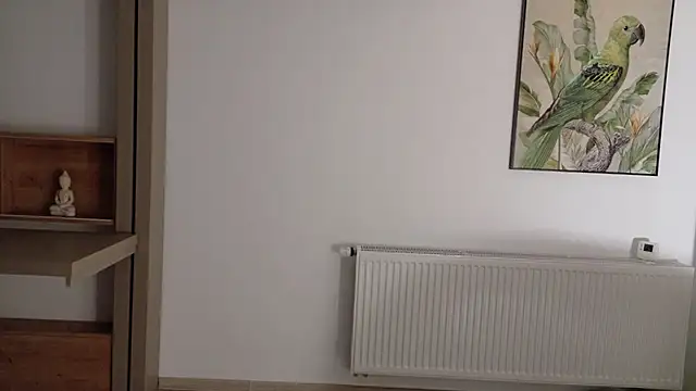 Deidi_sweet's cam snapshot