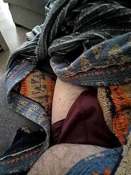 Bretoncool's cam snapshot