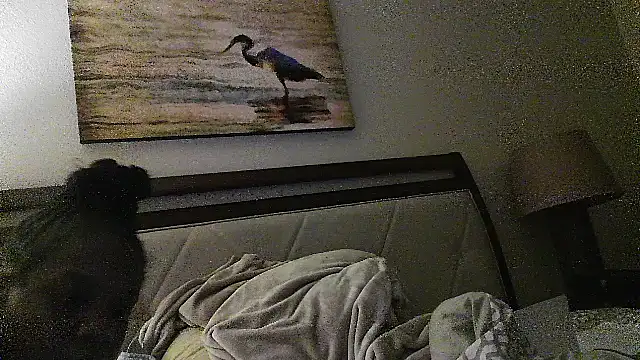 Beautifulkash's cam snapshot