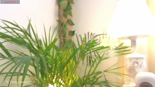 Tommyfoxboy live sex cam