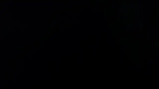 sackstor's cam snapshot