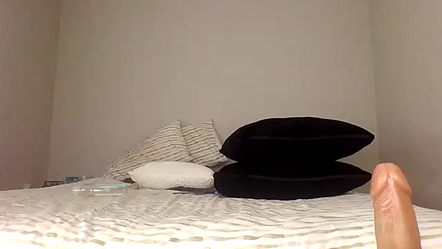 Arrbain's cam snapshot