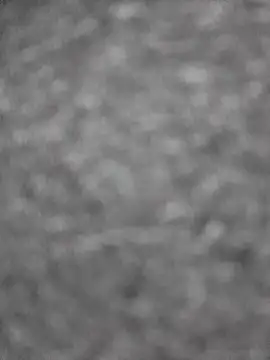 User2027fff live sex cam