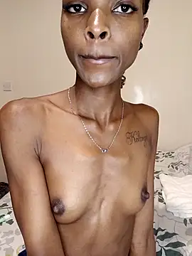 Nedambale's cam snapshot