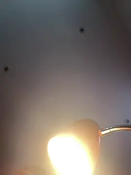 Abracadabra08169's cam snapshot