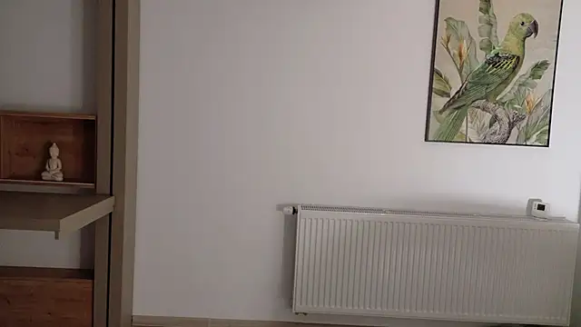 Deidi_sweet's cam snapshot