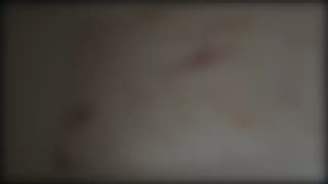 adelaide2026's cam snapshot