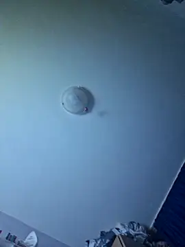 ellamoraless's cam snapshot