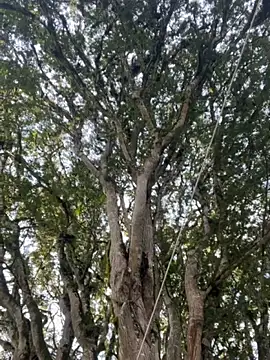 AliceMrtnz's cam snapshot