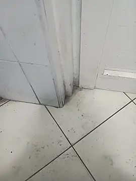 Stallionbull37's cam snapshot