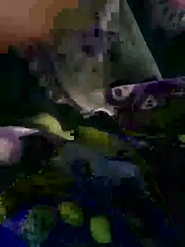 tonyxx000's cam snapshot