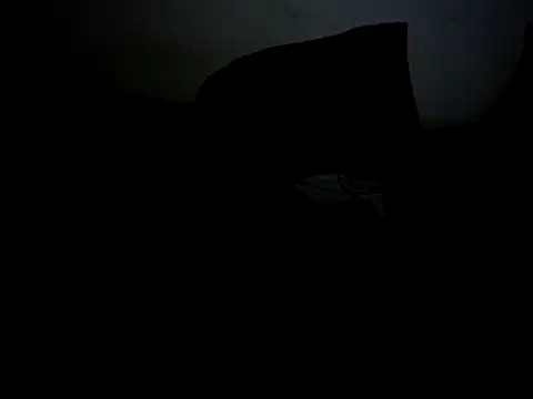 MapVuiVe's cam snapshot